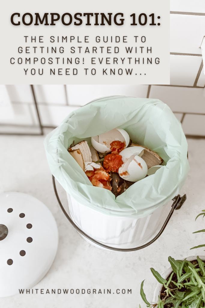 composting 101: the simple guide