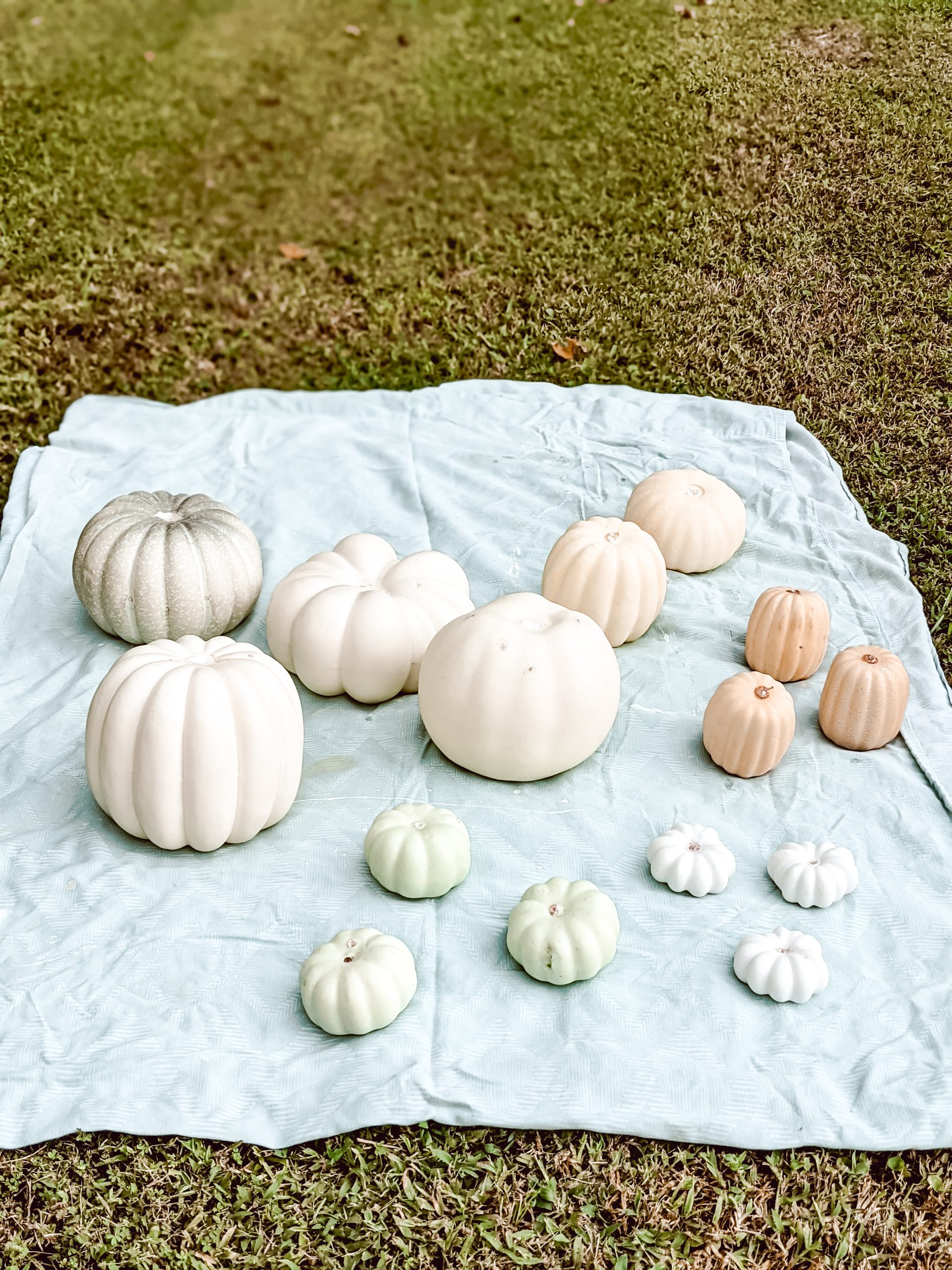 prepping to paint pumpkins